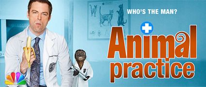 NBC: Animal Practice