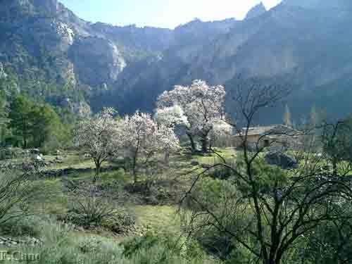 La Osera, Sierra de Las Villas