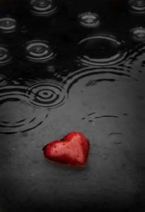 lost heart Pictures, Images and Photos
