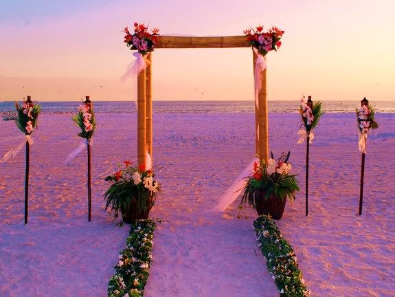 Wedding Arch Decorations Pictures