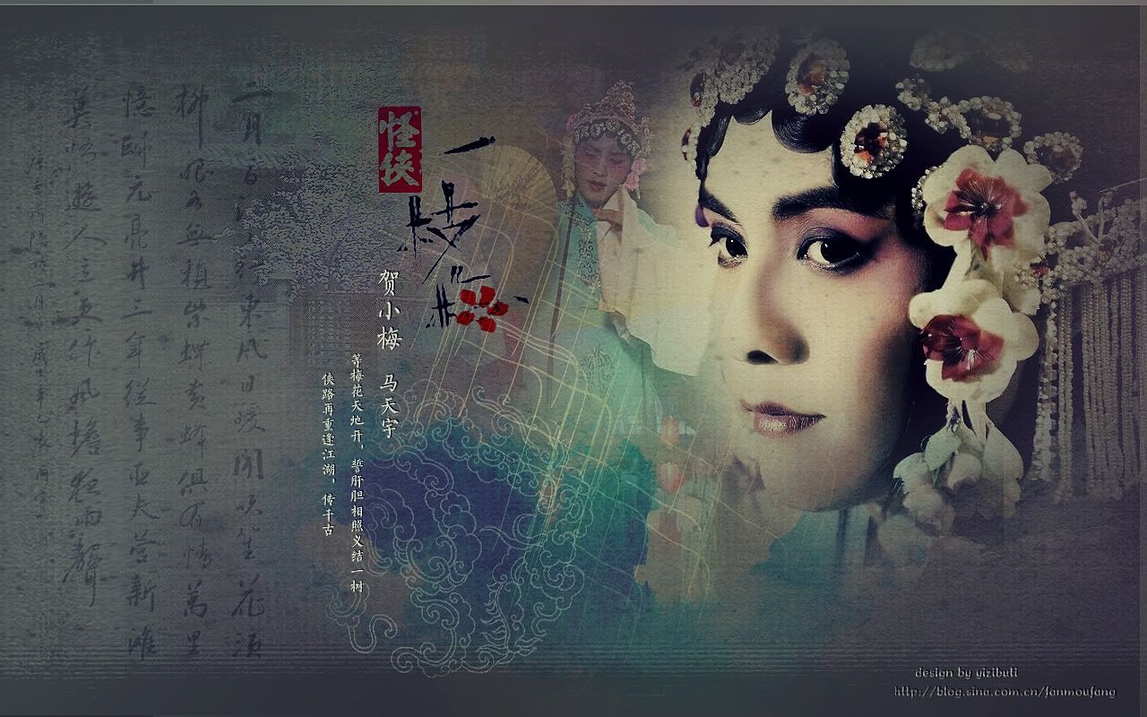 一枝梅图片