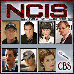 NCIS.gif NCIS image by kazkazza