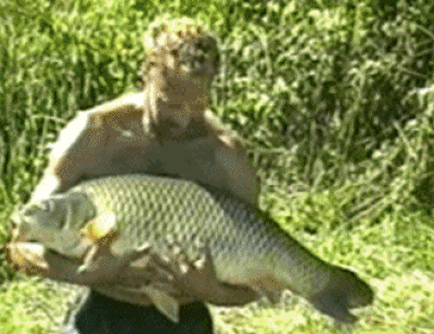 3.gif
