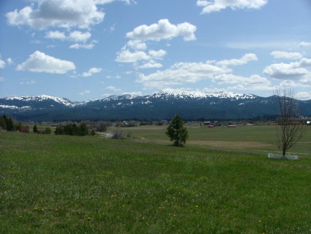 DSCF7159.jpg