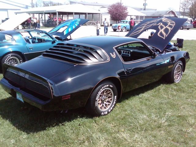 50bea62f.jpg