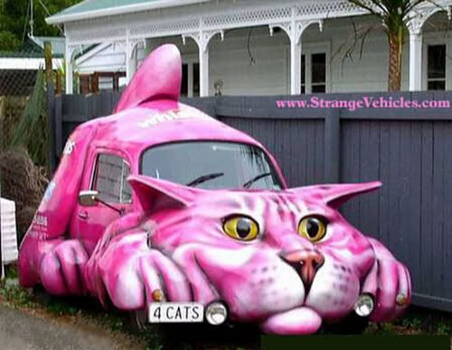 Cat car.