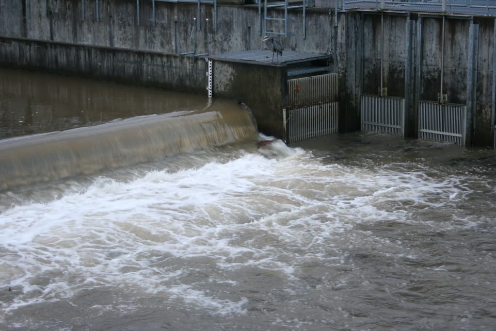 The spillway