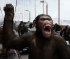 riseofapes.jpg