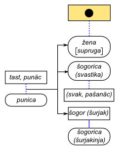 Croatian family relations for a married man