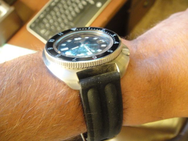 seiko diver for small wrist