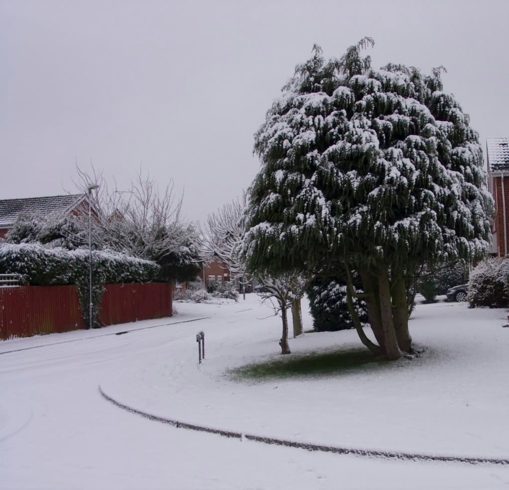 CRW_0282.jpg