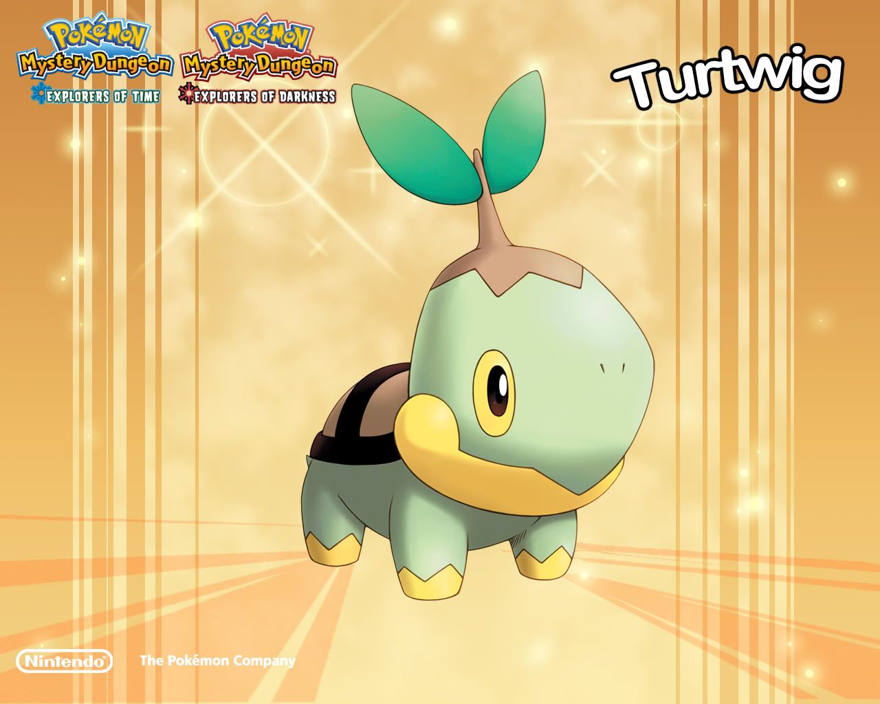 Turtwig Pictures, Images and Photos