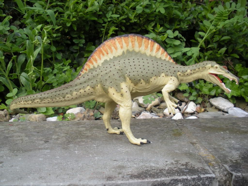 dinosaur with small bumps on head