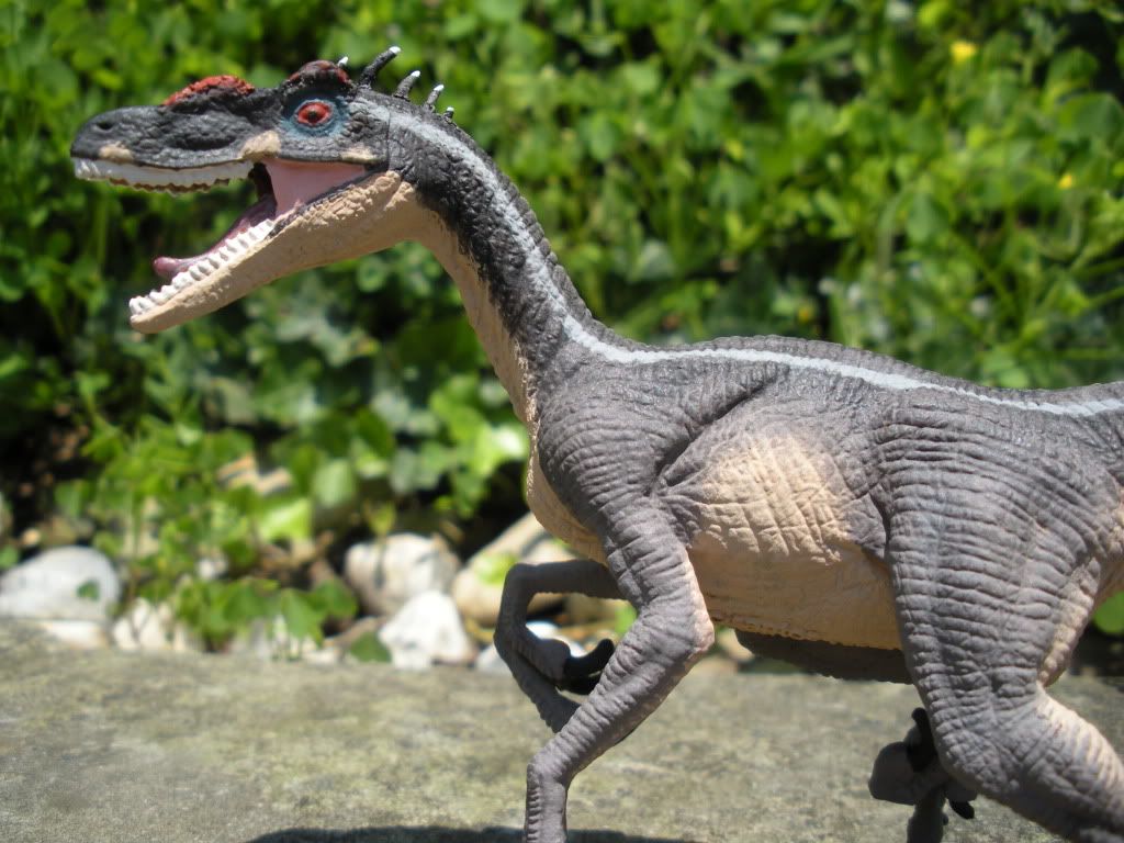 male raptor jurassic park 3