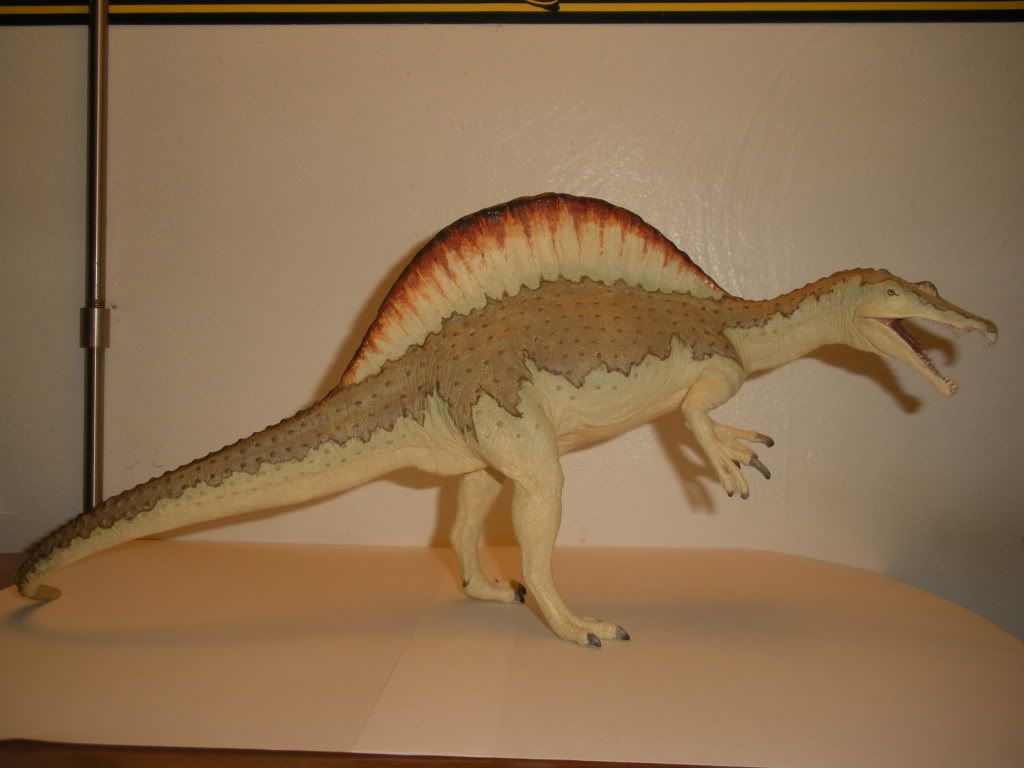 SPINO019.jpg