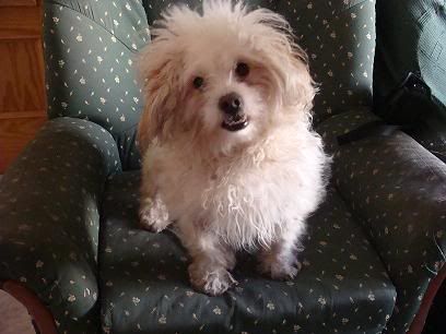 tambor2.jpg