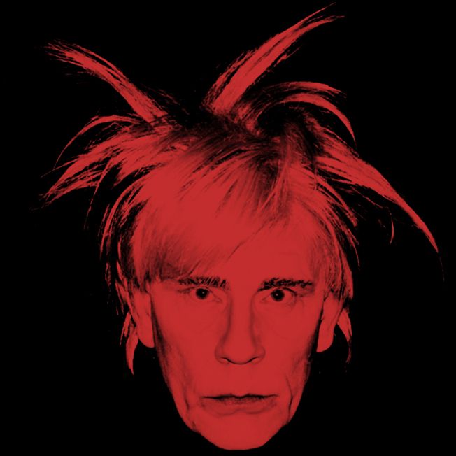photo Andy_Warhol___Self_Portrait_Fright_Wig_1986_2014_zps2lxdybqy.jpg
