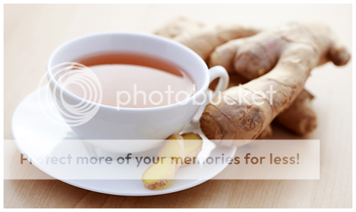  photo Ginger.png